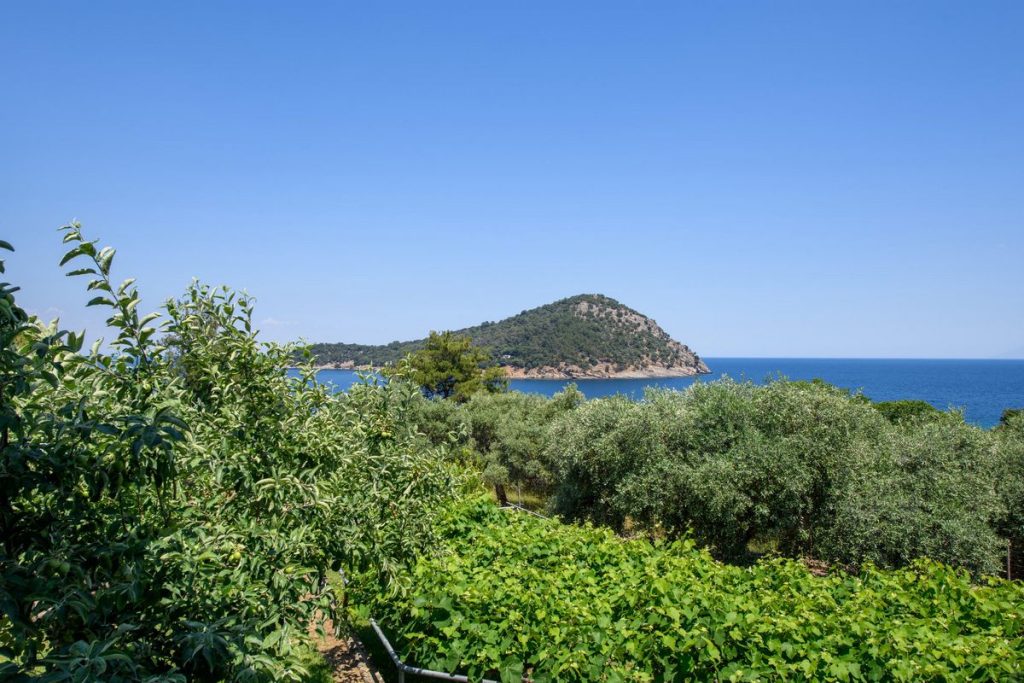 Two Bedroom Apartment - Olea Mare Suites